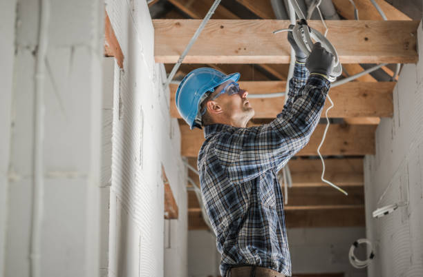 Best Electrician for Home Renovation  in Chrisman, IL
