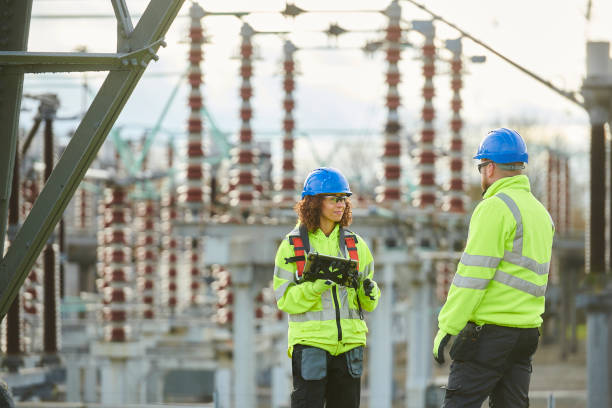 Best Generator Installation Services  in Chrisman, IL