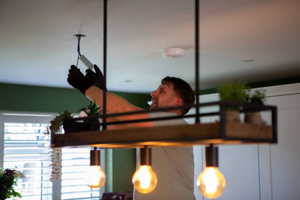 Best Electrical System Inspection  in Chrisman, IL